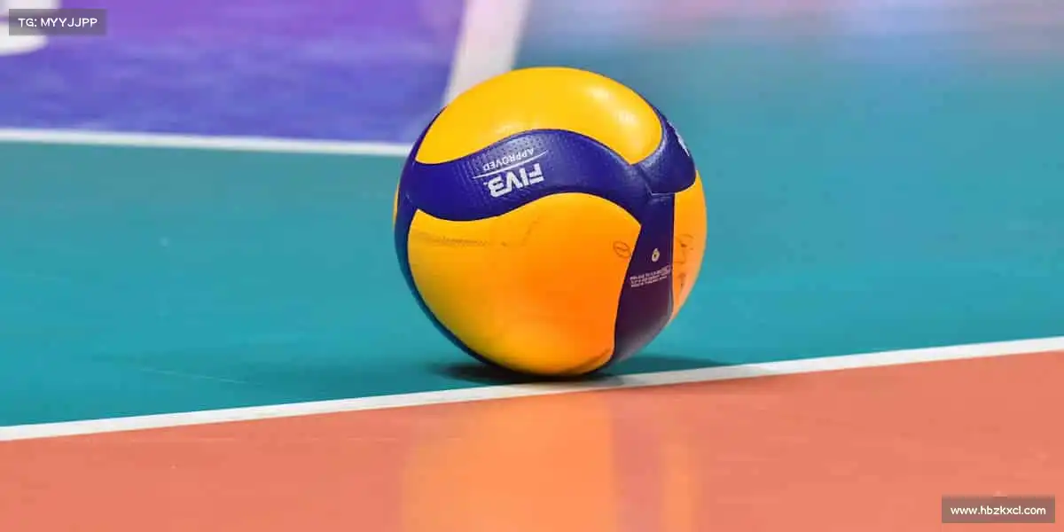 我们的品牌价值